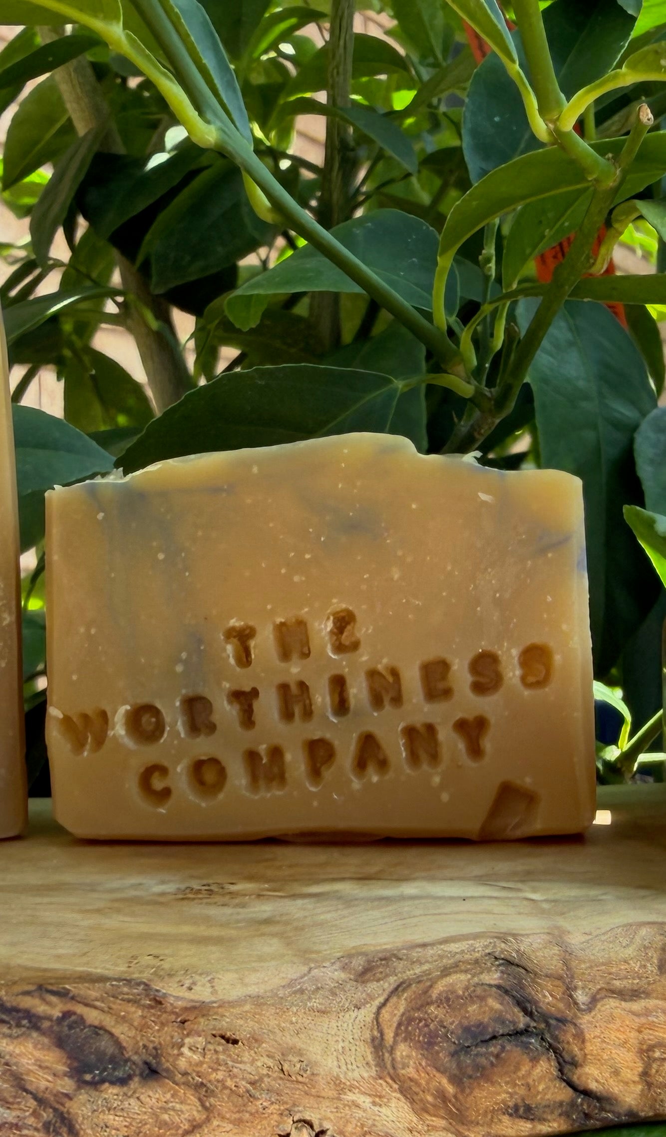 Half-bar soap bar from The Worthiness Company displayed on a rustic wood slab.