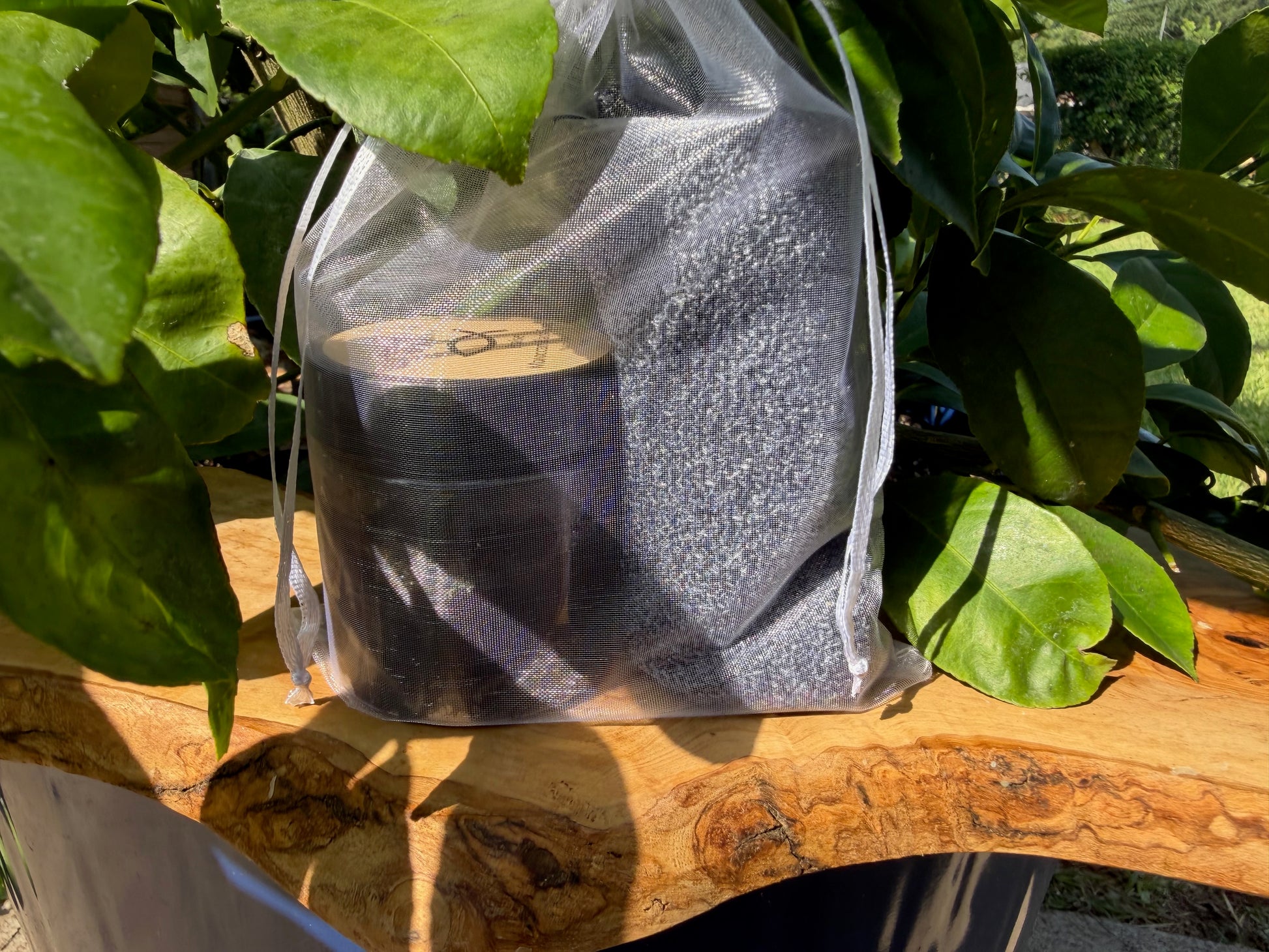 A clear drawstring mesh bag containing a round container of The Worthiness Company Black Moroccan Soap and an exfoliating glove.