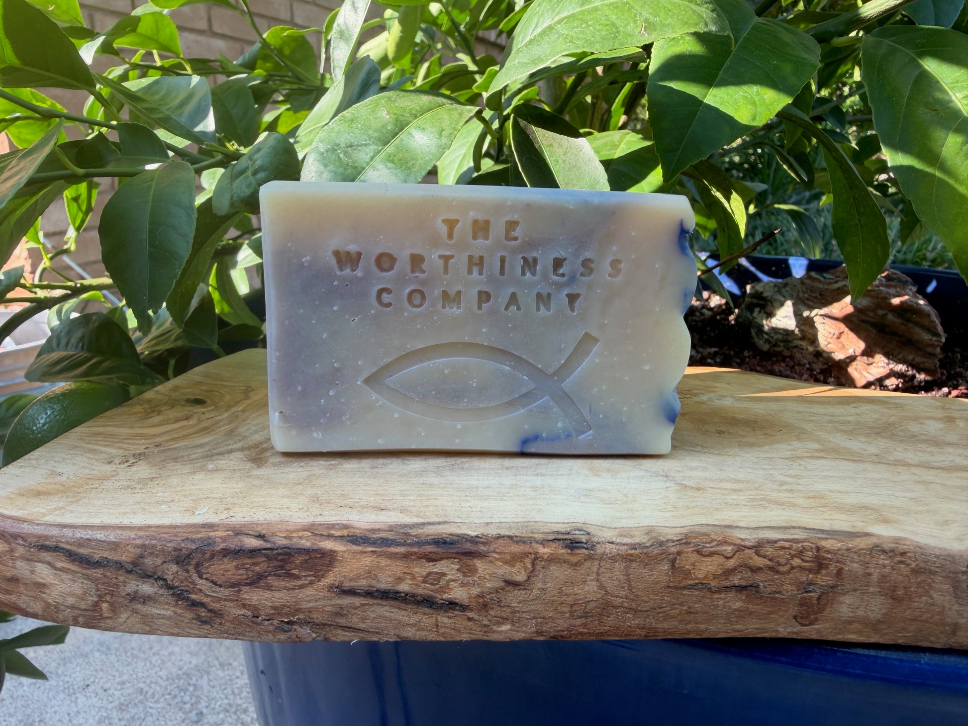 A rectangular bar of soap from The Worthiness Company sits on a rustic wooden board outdoors, surrounded by green leaves. The soap is a pale cream-beige color with subtle white speckles and blue swirls, featuring an embossed fish symbol and the brand name.