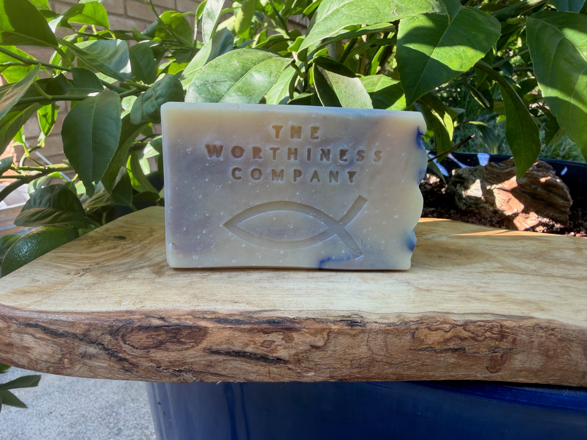 A rectangular bar of soap from The Worthiness Company sits on a rustic wooden board outdoors, surrounded by green leaves and natural sunlight.