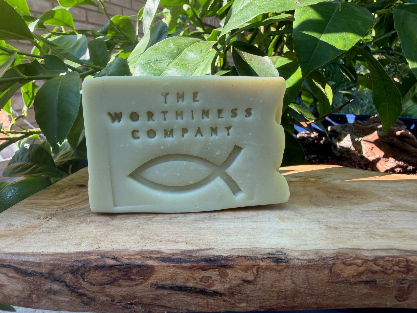 Light olive bar of soap sitting on a wooden slab.