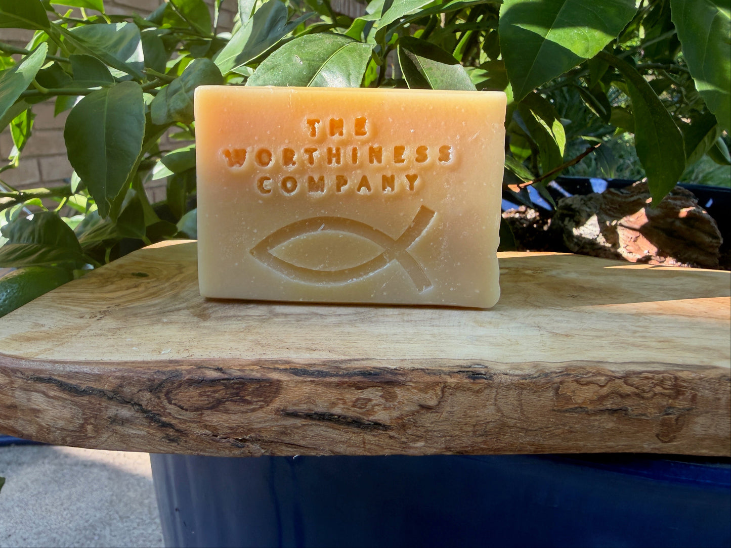 A rectangular bar of soap in a warm peach-beige color, embossed with the text 'THE WORTHINESE COMPANY' and a Christian fish symbol, resting on a rustic wooden board with green leaves in the background.