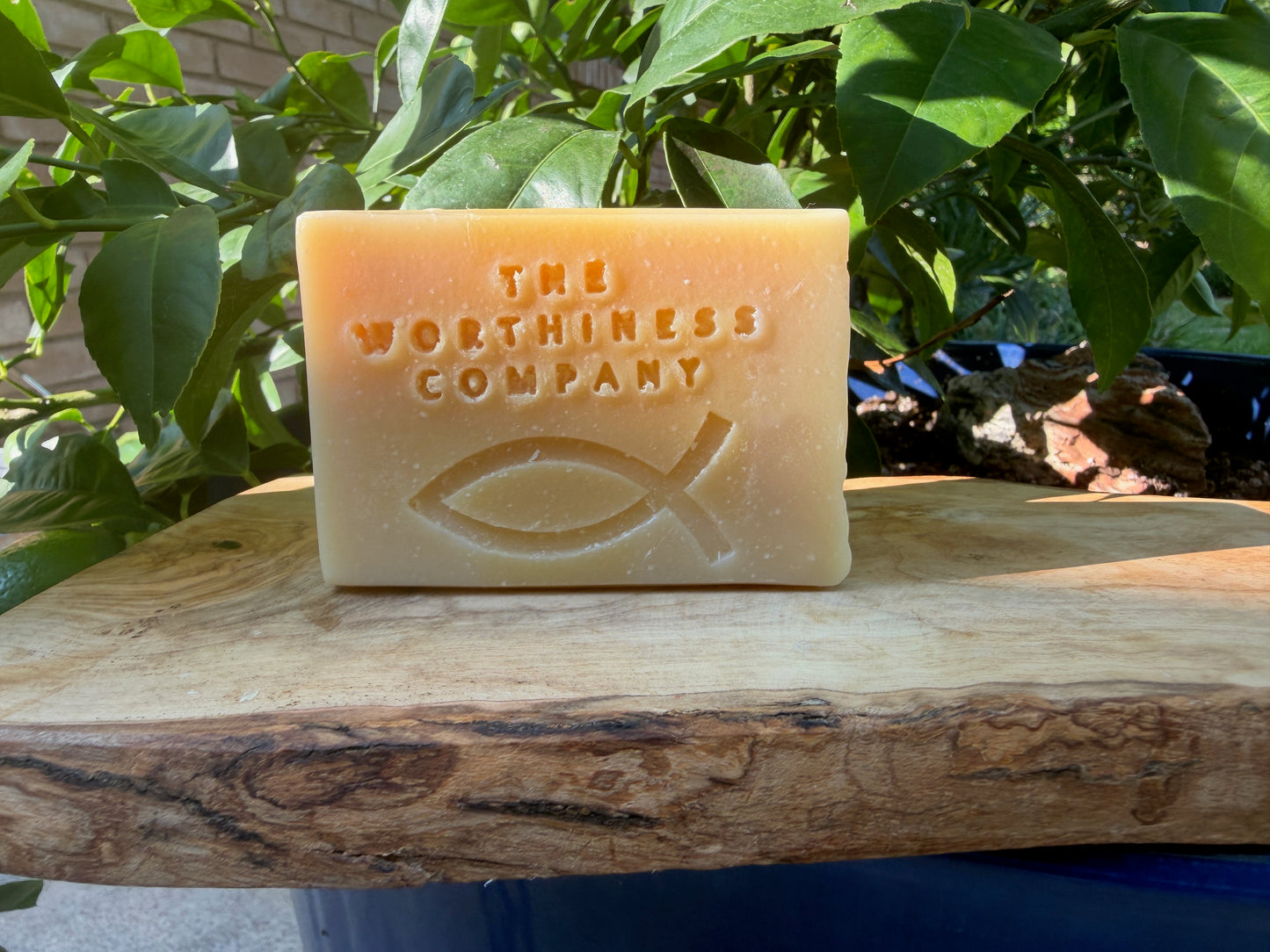 A rectangular bar of soap in a warm peach-beige color, embossed with the text 'THE WORTHINESS COMPANY' and a Christian fish symbol, resting on a rustic wooden board with green foliage in the background.