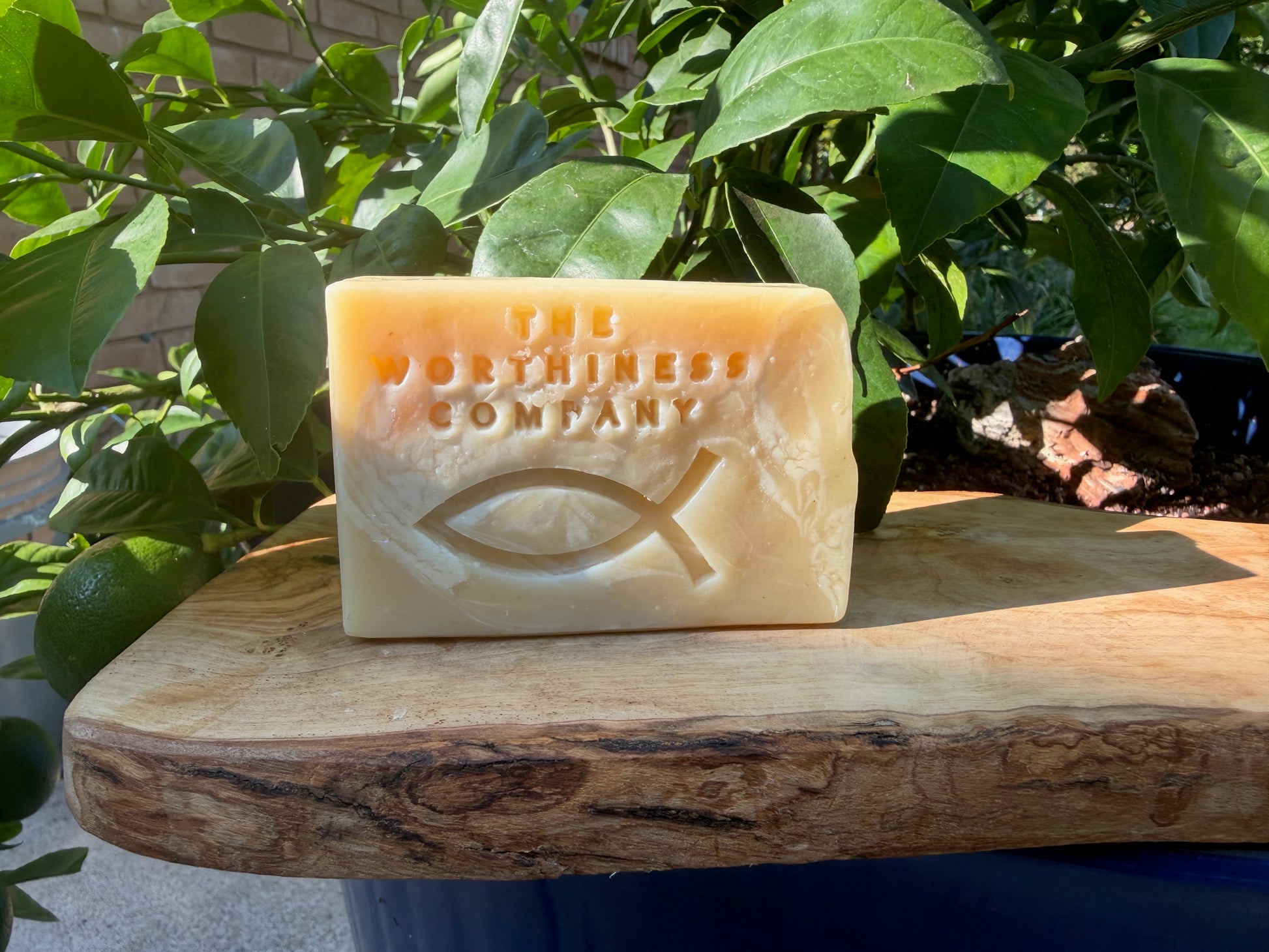 A rectangular bar of soap from The Northinese Company sits on a rustic wooden board outdoors, surrounded by green leaves and natural sunlight.