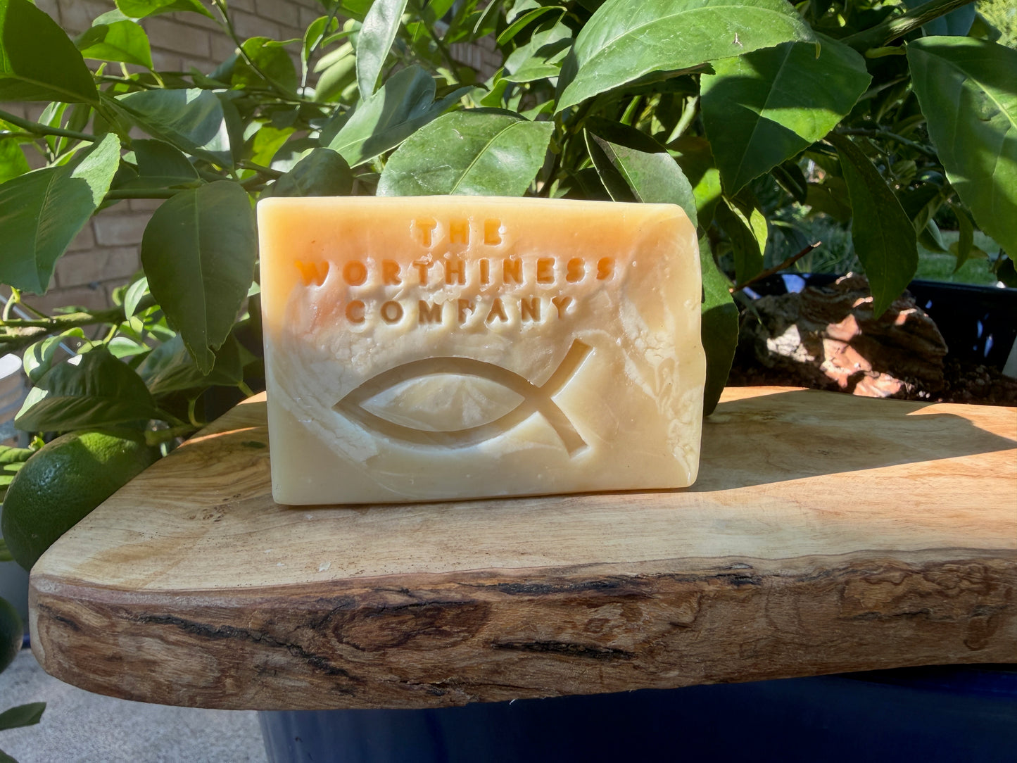 A rectangular bar of soap from The Northiness Company, embossed with a fish symbol, resting on a rustic wooden board with green leaves in the background.