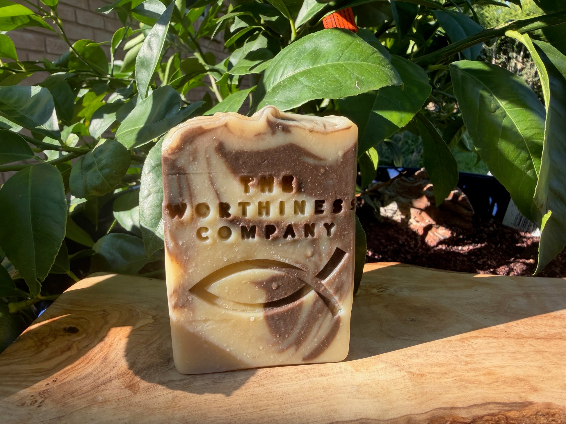 A rectangular handmade soap bar with a marbled beige and brown pattern, featuring an embossed Christian fish symbol and the text 'THE WORTHINESS COMPANY' on the front, displayed on a wooden surface with green foliage in the background.