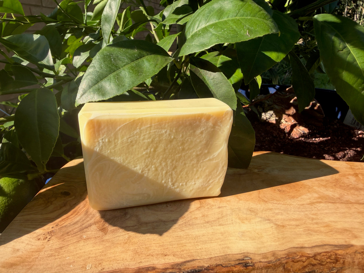 A rectangular bar of pale yellow soap standing upright on a wooden surface, with green leaves and a garden background in soft focus.