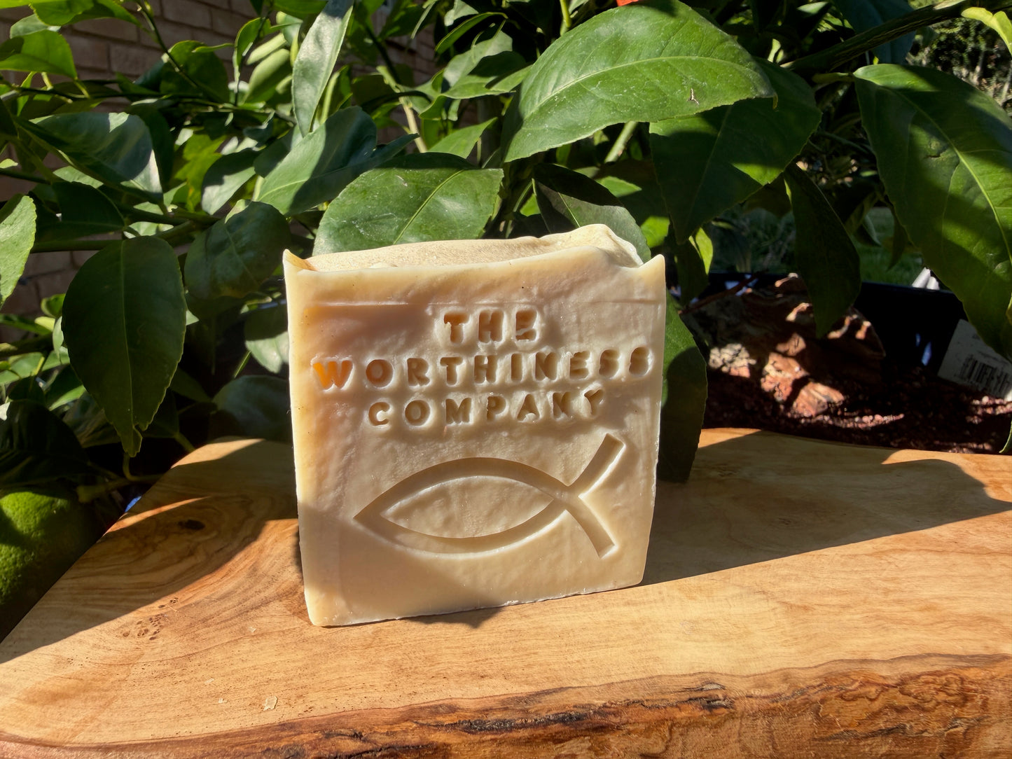 A rectangular bar of natural soap standing upright on a wooden surface, with green leaves and a brick wall in the background. The soap is embossed with the text 'THE WORTHINESS COMPANY' and a Christian fish symbol.