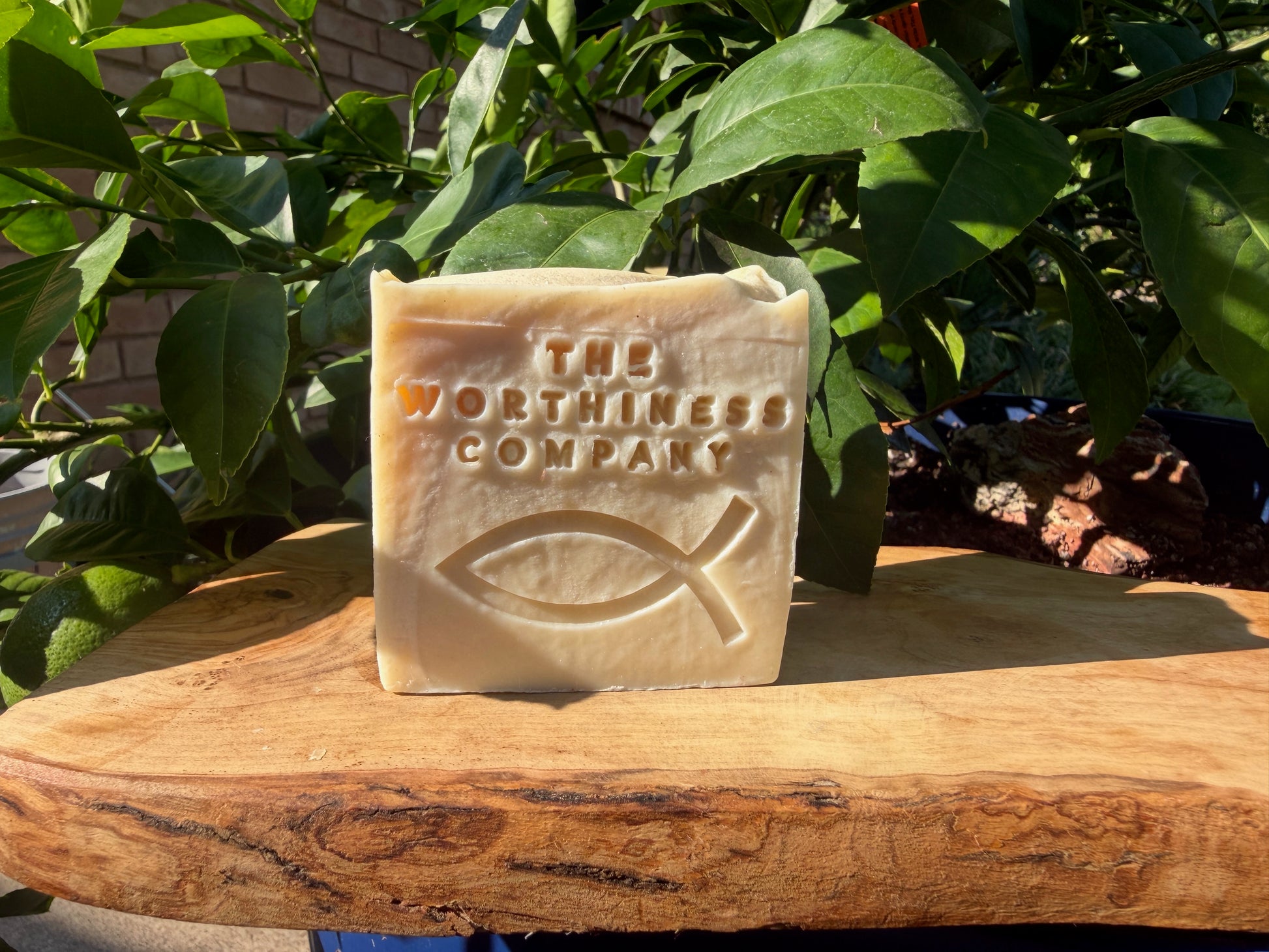 A rectangular bar of soap from The Worthiness Company, embossed with a Christian fish symbol and brand name, standing on a rustic wooden slab with green leaves in the background.
