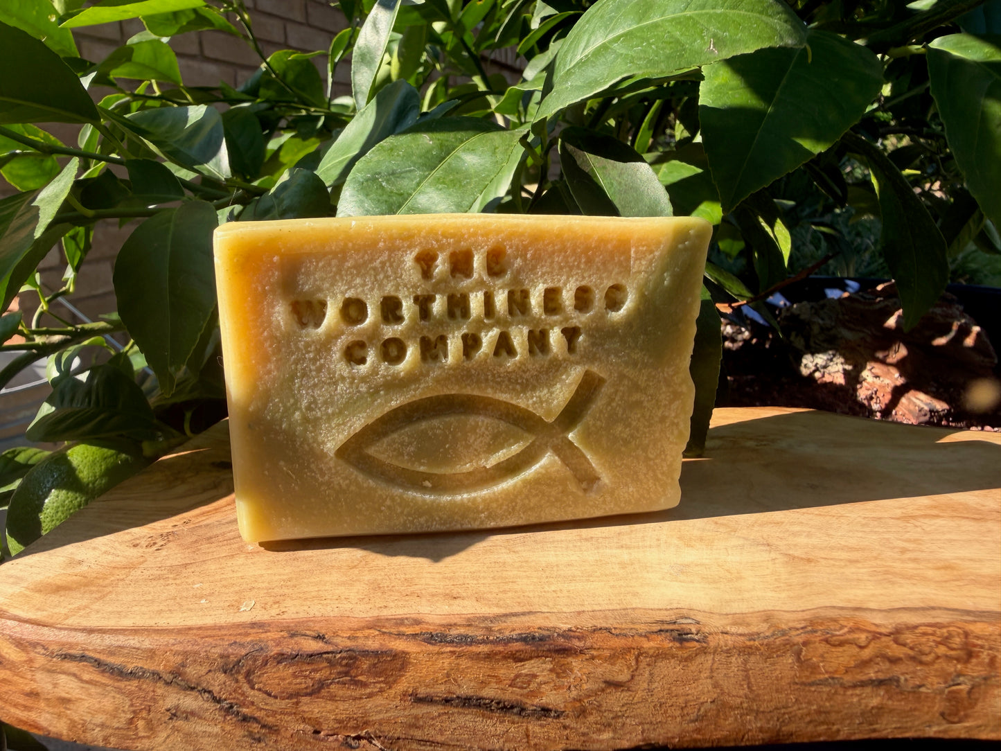 A rectangular bar of natural soap from 'The Worthless Company' with an embossed Christian fish symbol, resting on a rustic wooden surface with green leaves in the background.