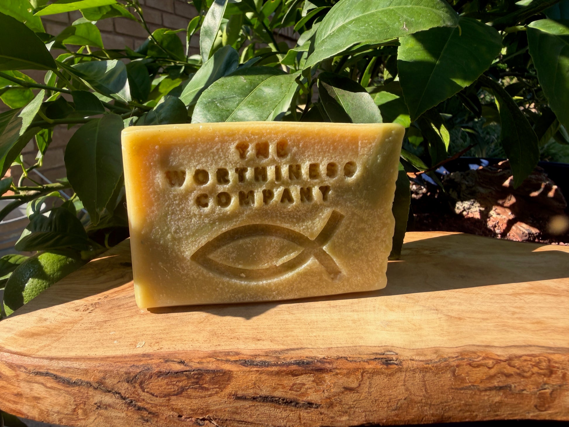 A rectangular bar of natural soap from 'The Worthless Company' with an embossed Christian fish symbol, resting on a rustic wooden surface with green leaves in the background.