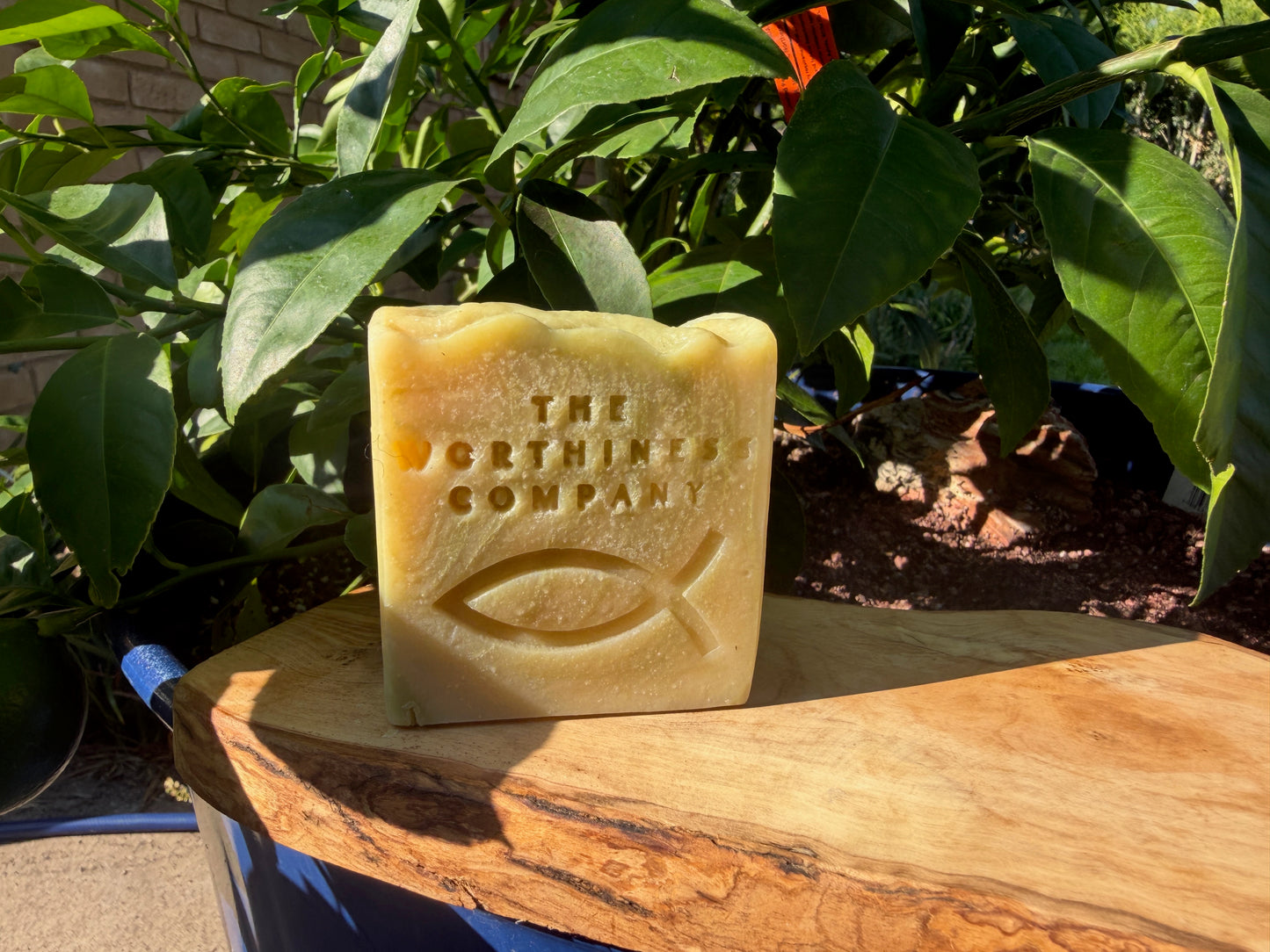 A rectangular bar of pale yellow soap standing upright on a wooden surface outdoors, with green leaves and soil in the background. The soap is embossed with the text 'THE WORTHINESS COMPANY' and a Christian fish symbol.