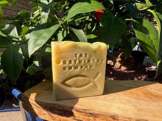 A rectangular bar of soap standing upright on a wooden surface outdoors, surrounded by green leaves. The soap is light tan with the words 'THE WORTHINESS COMPANY' and an eye motif embossed on the front.