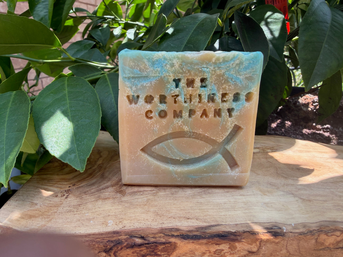 Fortress:Safflower and Coconut Oil Handcrafted Soap