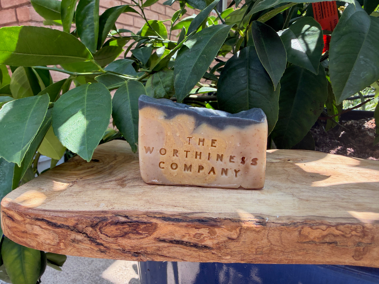 A half bar of soap with a marbled beige and dark gray finish, embossed with the text 'THE WORTHINESS COMPANY', displayed on a rustic wooden board.