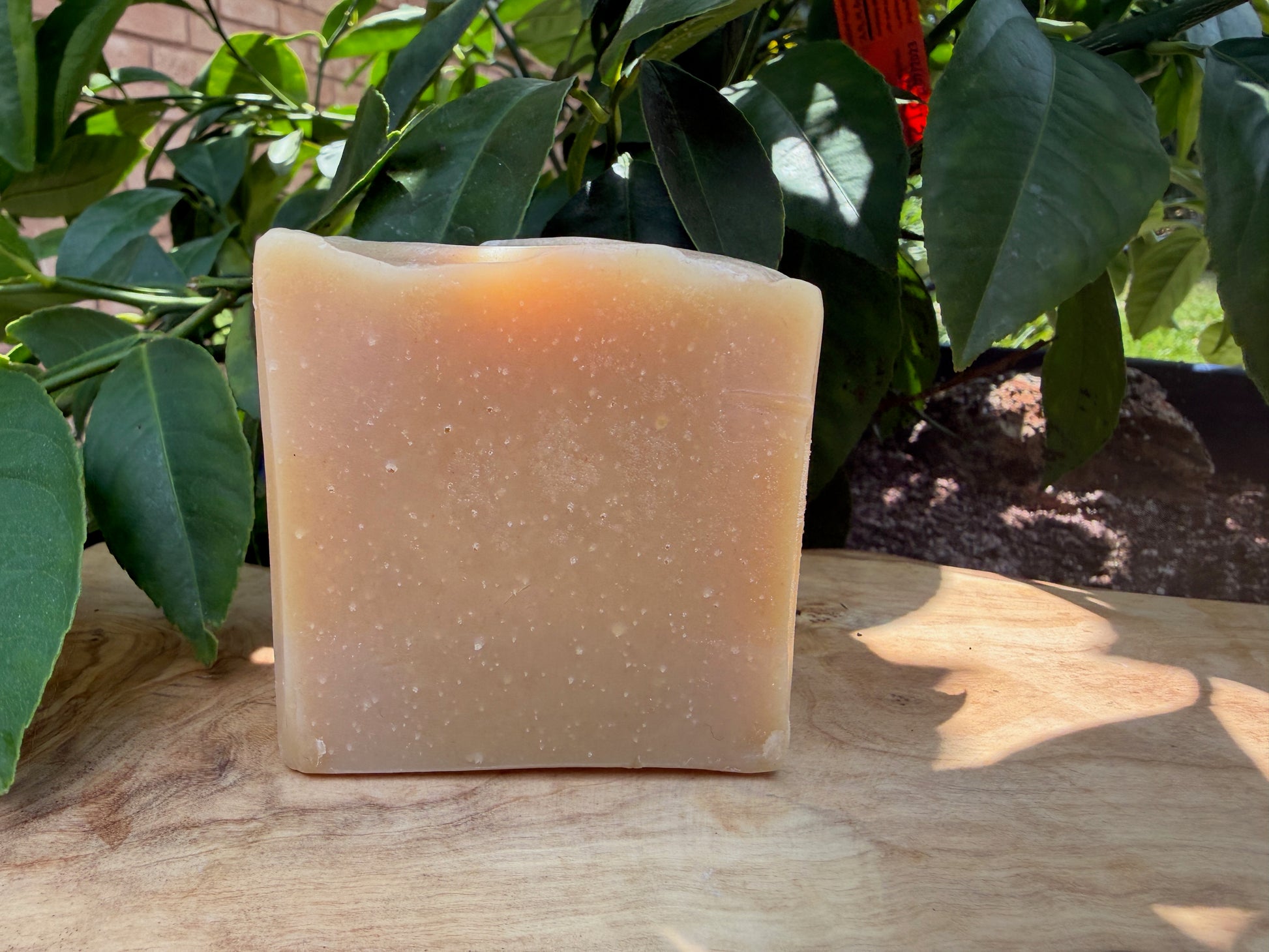 Soap bar