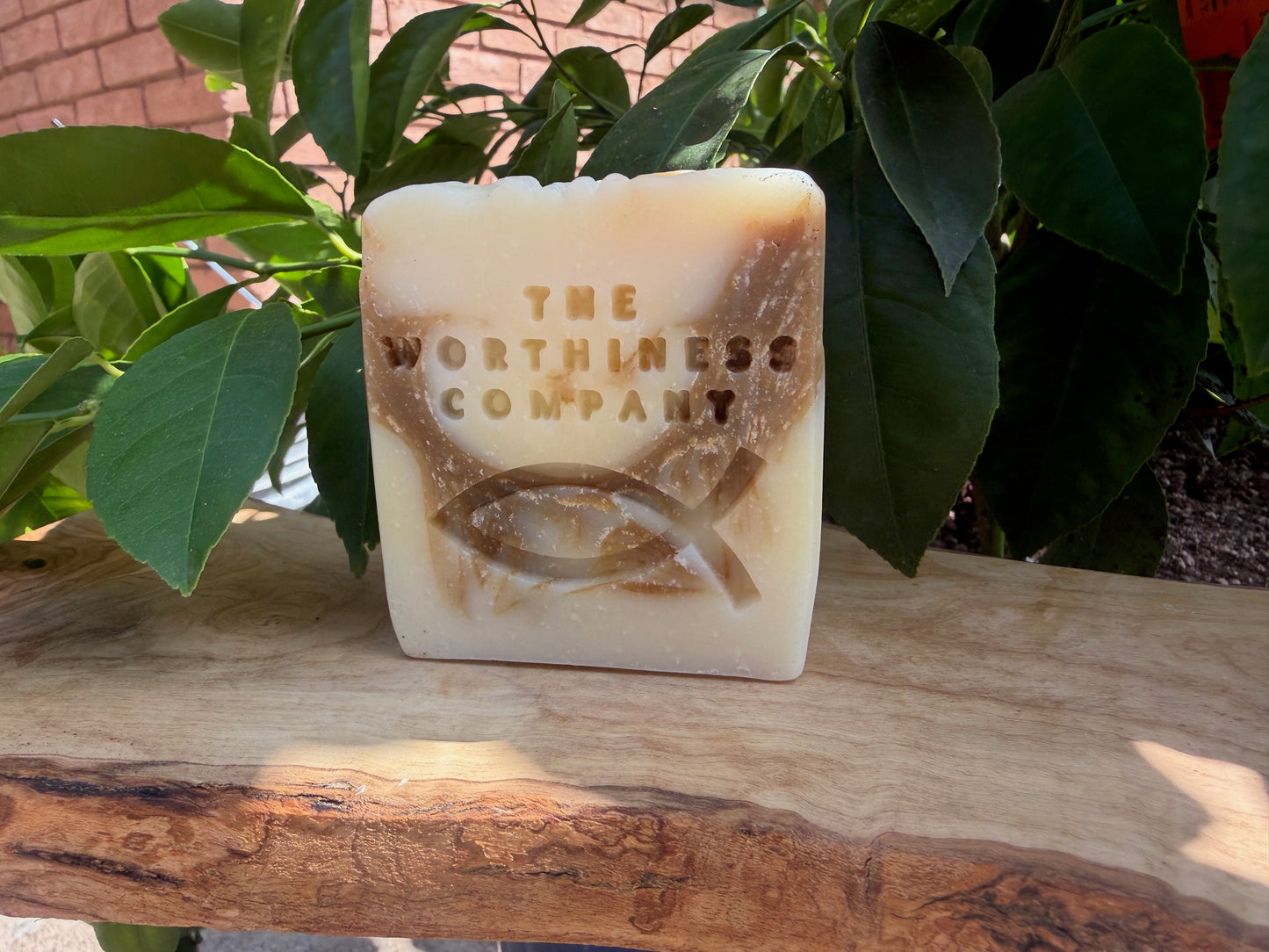 Shine (Glow):  Tallow, Neem Oil and Moringa Powder Handcrafted Face Soap