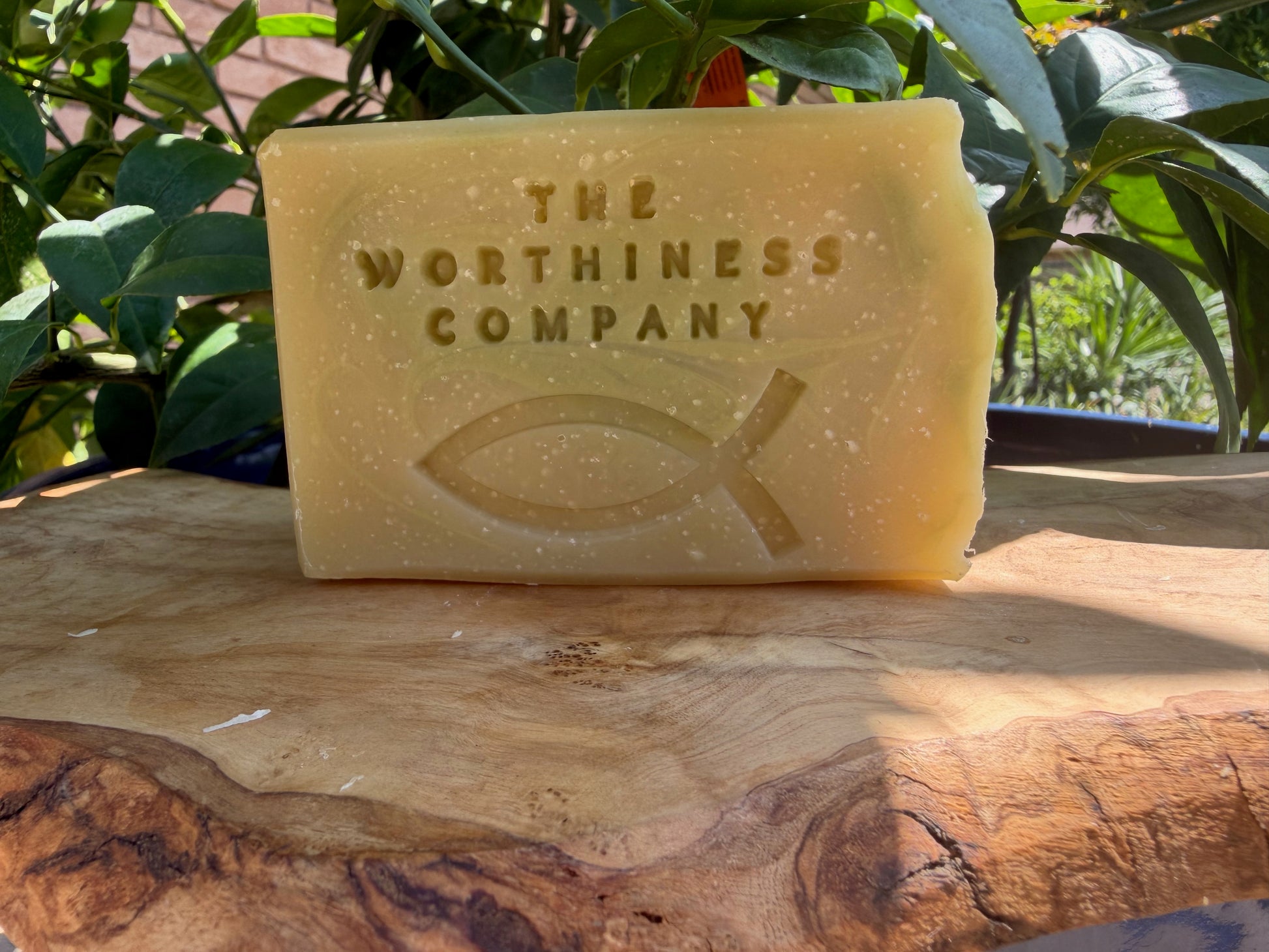 One bar of handmade soap from The Worthiness Company displayed on a rustic wood slab.