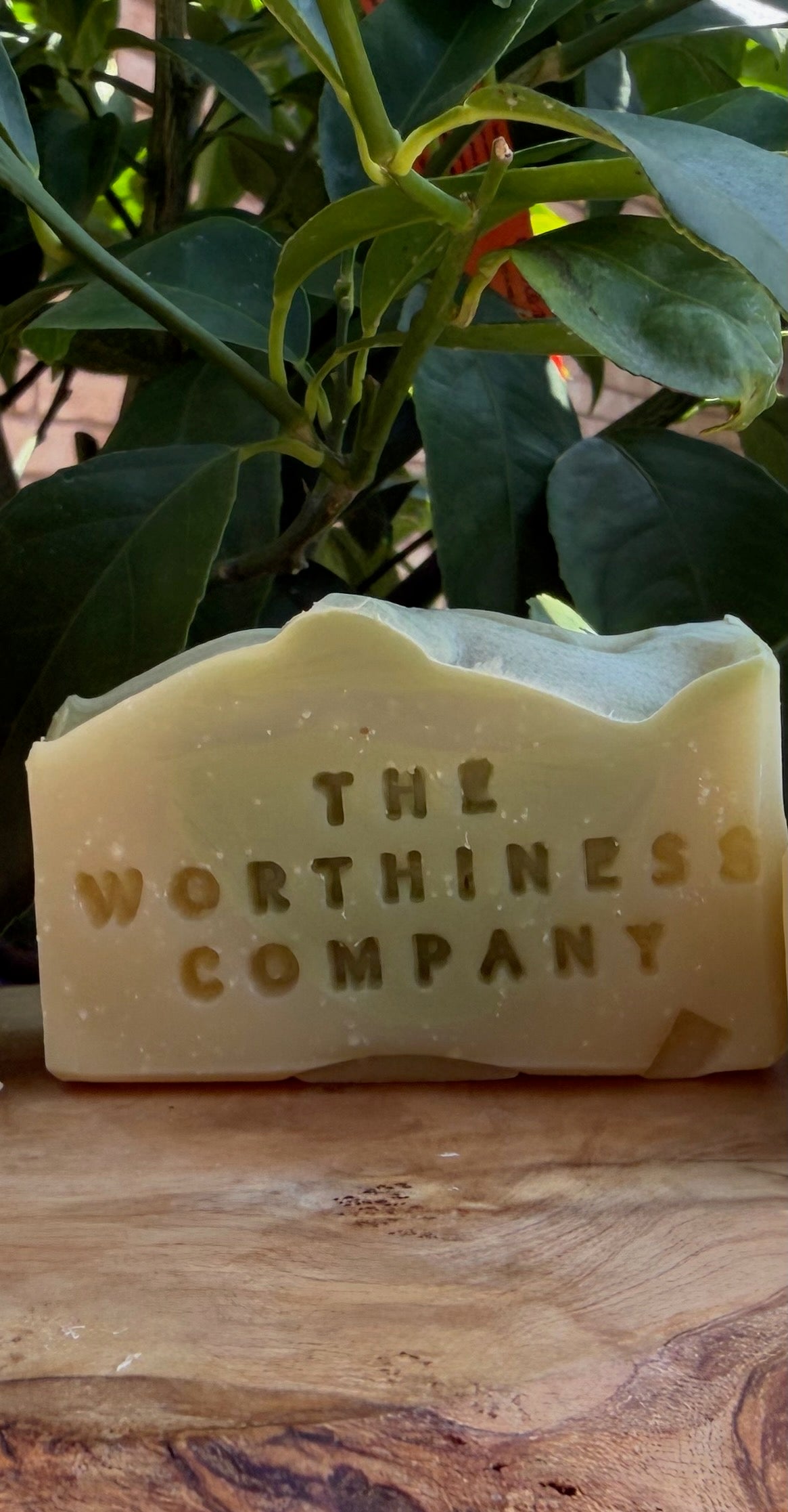 Half-bar of handmade soap from The Worthiness Company displayed on a rustic wood slab.
